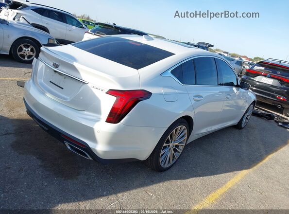 1G6DN5RK1M0147666 2021 CADILLAC CT5 White 