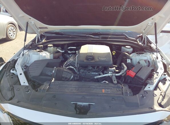 1G6DN5RK1M0147666 2021 CADILLAC CT5 White 