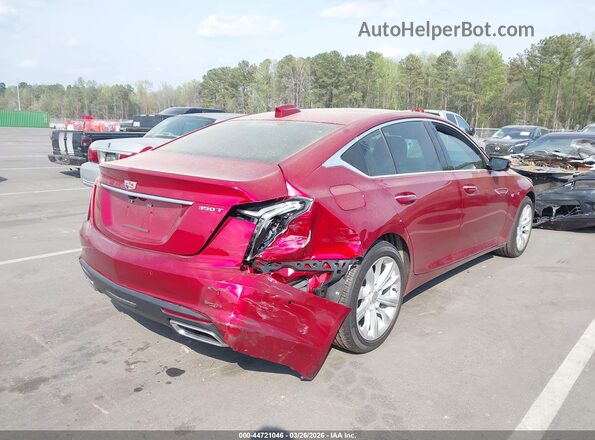 1G6DN5RK7T0102505 2026 CADILLAC CT5 Red Задня права чверть