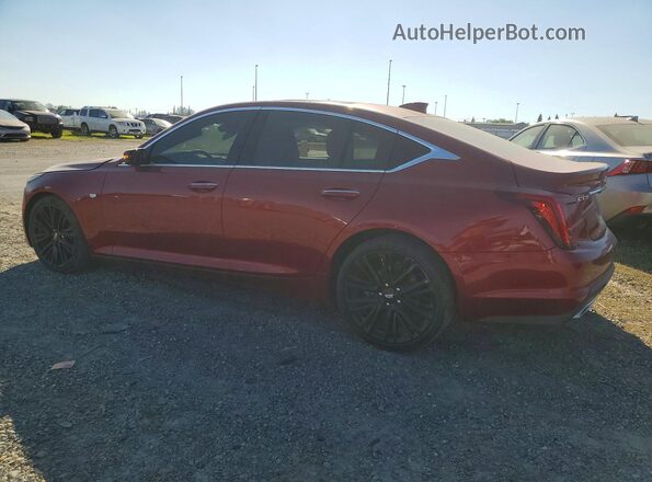 1G6DN5RW1P0121379 2023 CADILLAC CT5 Burgundy Հետևի ձախ