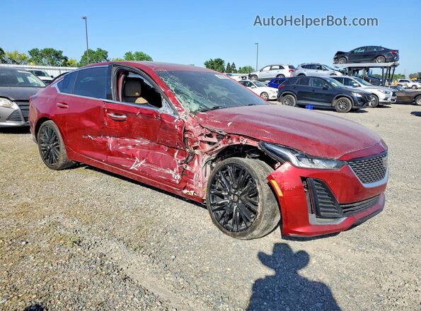 1G6DN5RW1P0121379 2023 CADILLAC CT5 Burgundy Առջևի աջ