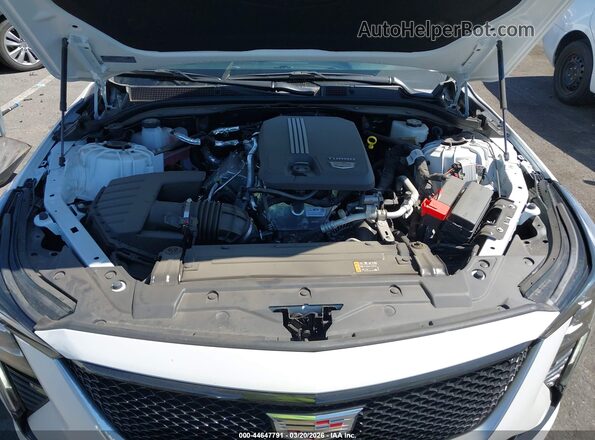 1G6DP5RK1S0115808 2025 CADILLAC CT5 White Widok z tyłu