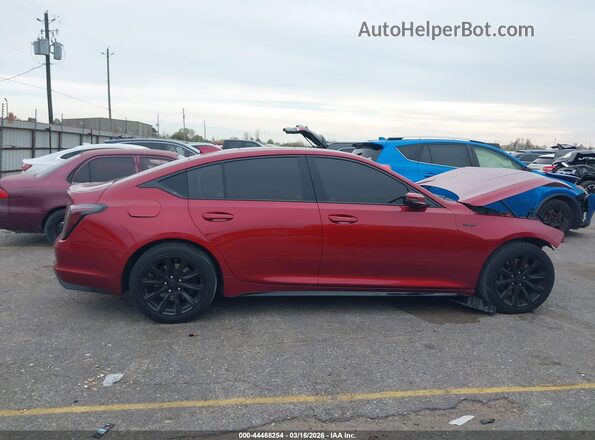 1G6DR5RWXP0116329 2023 CADILLAC CT5 Красный Вид задней части салона