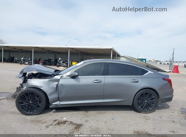 1G6DT5RW6M0106569 2021 CADILLAC CT5 Gray 