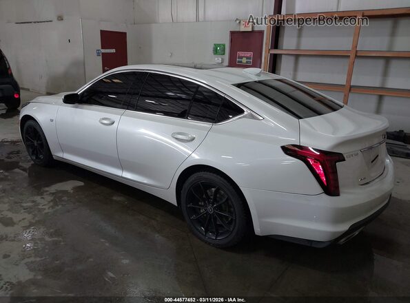 1G6DX5RK2M0112807 2021 CADILLAC CT5 White უკანა მარცხენა