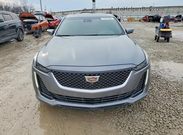 1G6DX5RK3M0113013 2021 CADILLAC CT5 Серый 