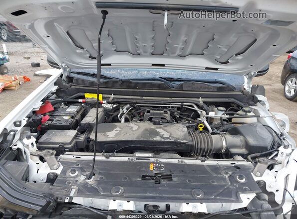 1GCGSBEC0R1283613 2024 CHEVROLET COLORADO White 