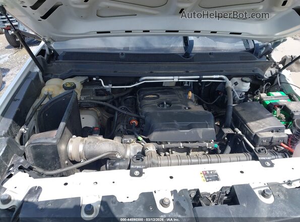 1GCHSBEAXK1179381 2019 CHEVROLET COLORADO White უკანა ხედი