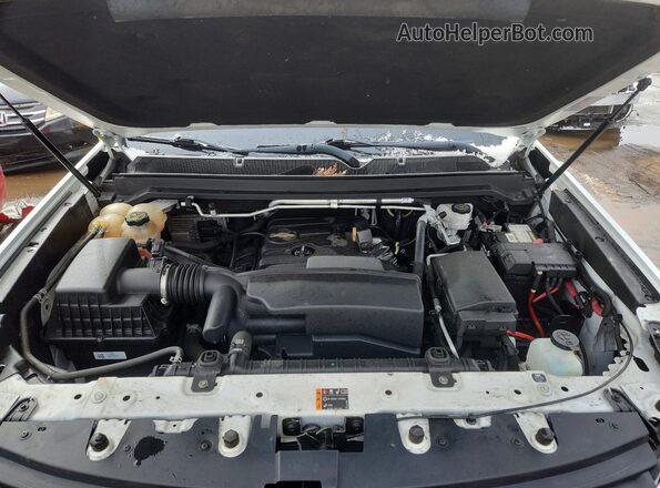 1GCHSCEA7M1245331 2021 CHEVROLET COLORADO White Вид задньої частини салону