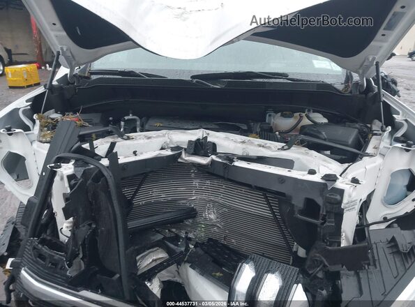 1GCUDJED6RZ343699 2024 CHEVROLET SILVERADO White Հետևի տեսք