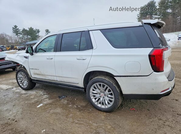 1GKS2DRL6SR328680 2025 GMC YUKON Белый Задняя левая четверть
