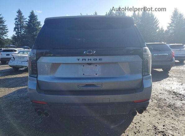 1GNS6PRD1SR170976 2025 CHEVROLET TAHOE Серый Вид сзади