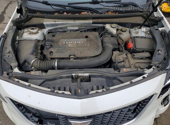 1GYFZER46MF053219 2021 CADILLAC XT4 Белый 