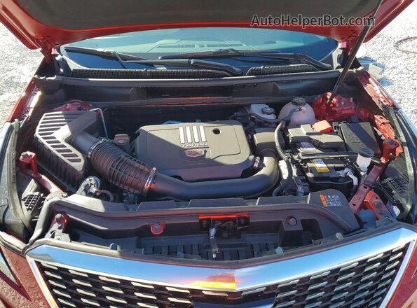 1GYKNDR4XSZ128102 2025 CADILLAC XT5 Red 