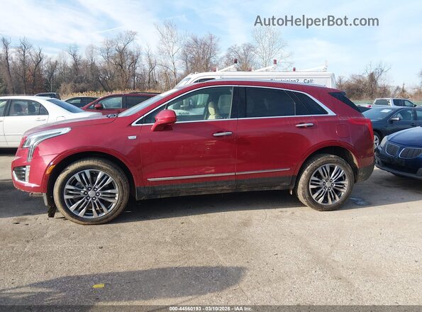 1GYKNFRS9KZ131275 2019 CADILLAC XT5 Красный 