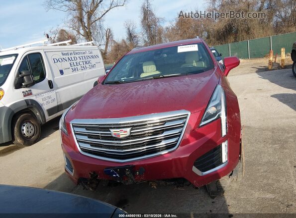 1GYKNFRS9KZ131275 2019 CADILLAC XT5 Красный 