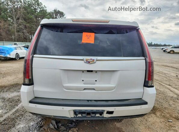 1GYS4BKJ0LR277997 2020 CADILLAC ESCALADE White Widok z tyłu