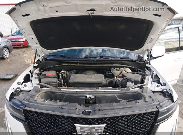 1GYS4GKLXPR492520 2023 CADILLAC ESCALADE Белый Вид сзади
