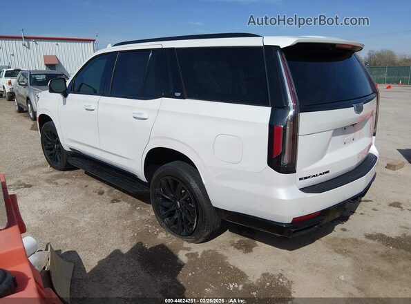1GYS4GKLXPR492520 2023 CADILLAC ESCALADE Белый Задняя левая четверть