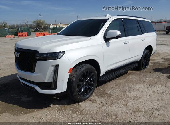 1GYS4GKLXPR492520 2023 CADILLAC ESCALADE Белый Передняя левая четверть