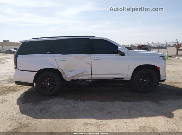 1GYS4GKLXPR492520 2023 CADILLAC ESCALADE Белый Вид задней части салона