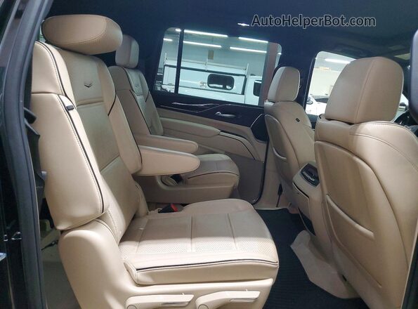 1GYS4KKL5PR559818 2023 CADILLAC ESCALADE Black Սալոնի հետևի տեսք