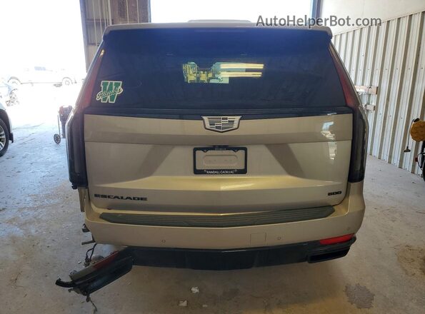 1GYS4RKL8PR454070 2023 CADILLAC ESCALADE Silver Вид ззаду