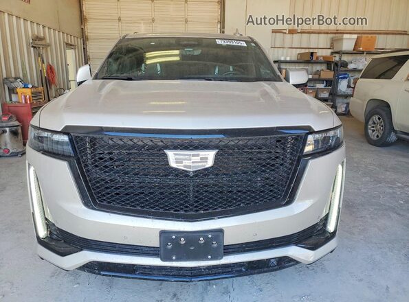 1GYS4RKL8PR454070 2023 CADILLAC ESCALADE Silver Вид спереду