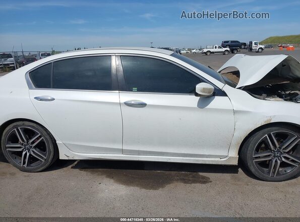 1HGCR2F11HA036205 2017 HONDA ACCORD Белый Вид задней части салона