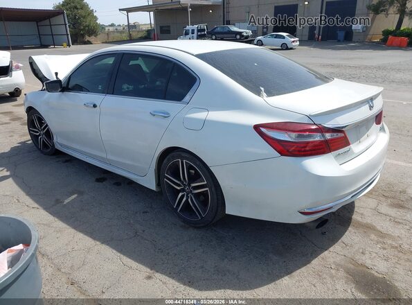 1HGCR2F11HA036205 2017 HONDA ACCORD Белый Задняя левая четверть