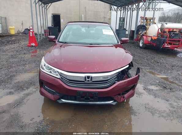 1HGCR2F87GA072850 2016 HONDA ACCORD Бордовый 