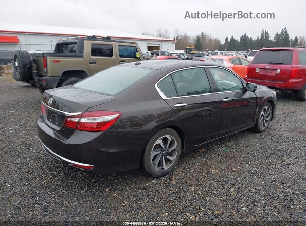 1HGCR2F97HA008902 2017 HONDA ACCORD Brown Задня права чверть