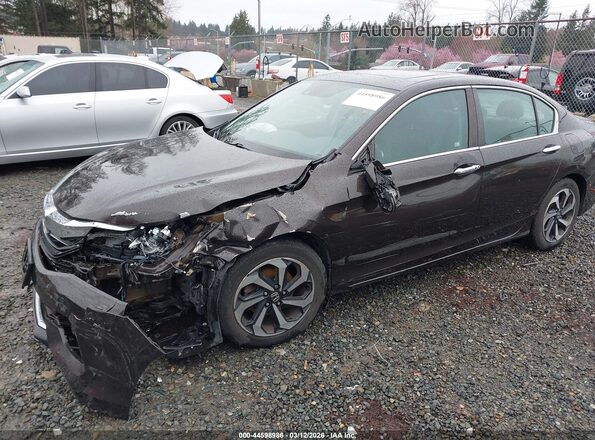 1HGCR2F97HA008902 2017 HONDA ACCORD Brown Вид спереду