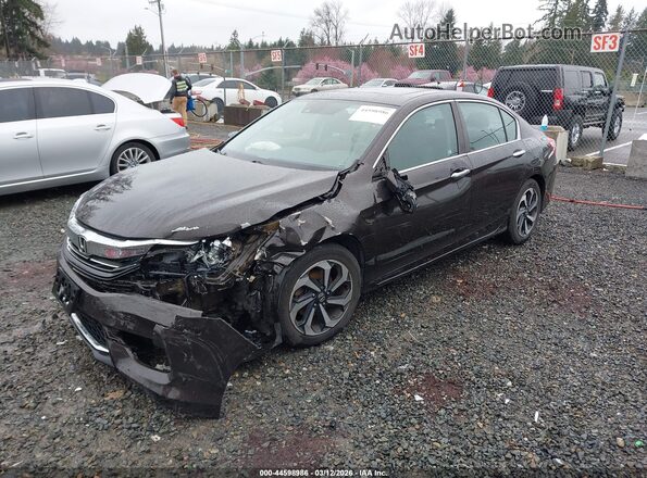 1HGCR2F97HA008902 2017 HONDA ACCORD Brown Передня ліва чверть