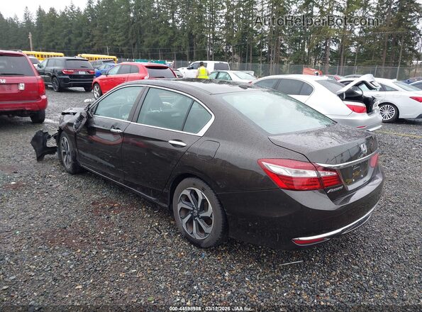 1HGCR2F97HA008902 2017 HONDA ACCORD Brown Задня ліва чверть