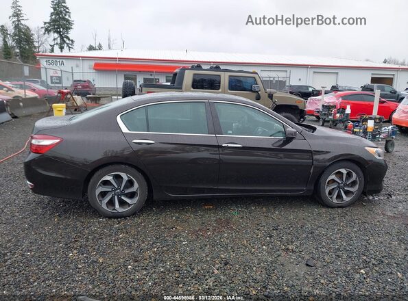 1HGCR2F97HA008902 2017 HONDA ACCORD Brown Вид задньої частини салону