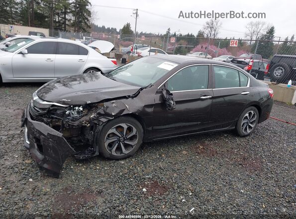 1HGCR2F97HA008902 2017 HONDA ACCORD Brown Панорамний вид салону 360°