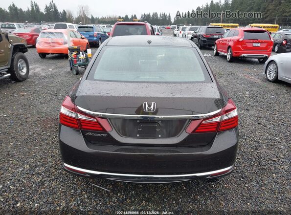 1HGCR2F97HA008902 2017 HONDA ACCORD Brown 