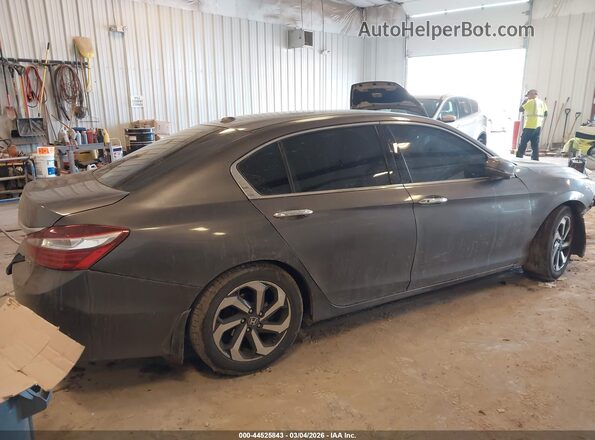 1HGCR3F81HA032240 2017 HONDA ACCORD Gray Հետևի աջ
