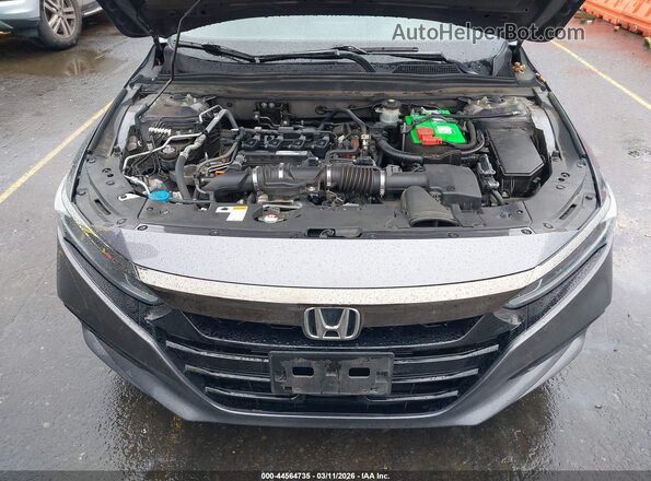 1HGCV1F33KA147207 2019 HONDA ACCORD Gray Widok z tyłu