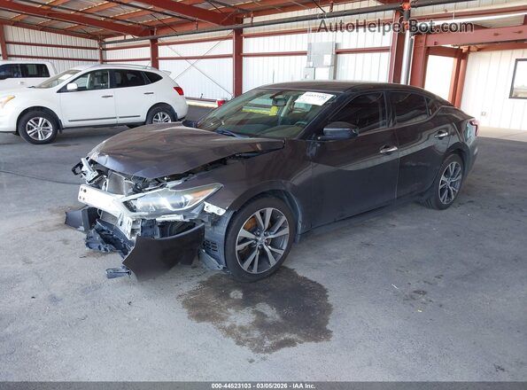 1N4AA6AP1GC445457 2016 NISSAN MAXIMA Gray წინა მარცხენა ხედი სამი მეოთხედიდან
