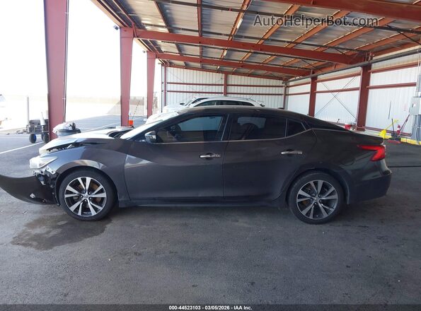 1N4AA6AP1GC445457 2016 NISSAN MAXIMA Gray სალონის 360-გრადუსიანი ხედი