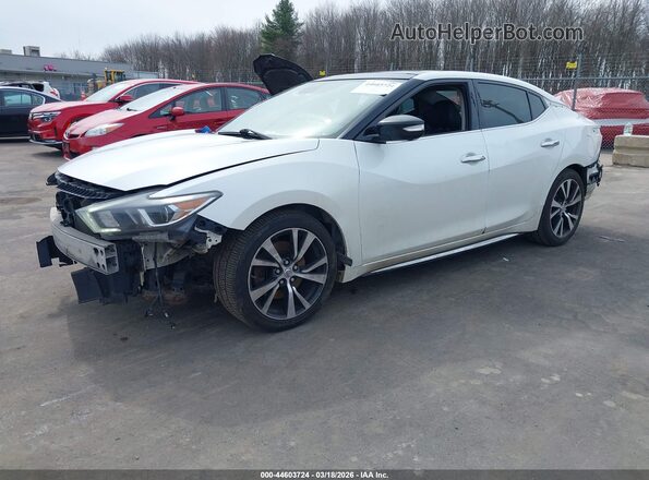 1N4AA6AP4GC378286 2016 NISSAN MAXIMA White Front left