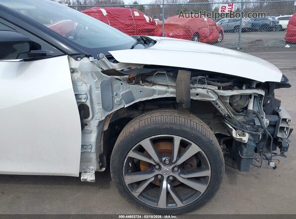 1N4AA6AP4GC378286 2016 NISSAN MAXIMA White 