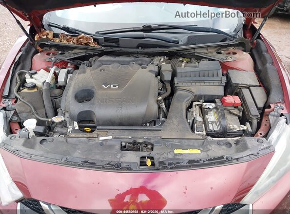 1N4AA6AP4GC415465 2016 NISSAN MAXIMA Maroon უკანა ხედი