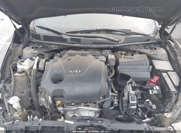 1N4AA6AP4GC901029 2016 NISSAN MAXIMA Brown Вид ззаду