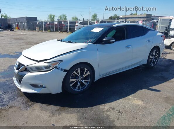 1N4AA6AP5HC414553 2017 NISSAN MAXIMA White Przód lewy
