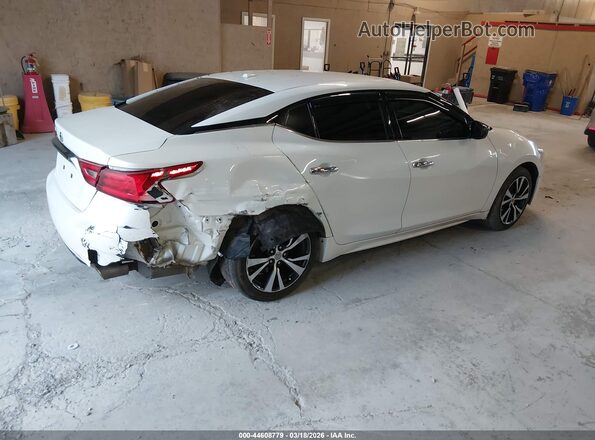 1N4AA6AP8HC391835 2017 NISSAN MAXIMA White Rear right