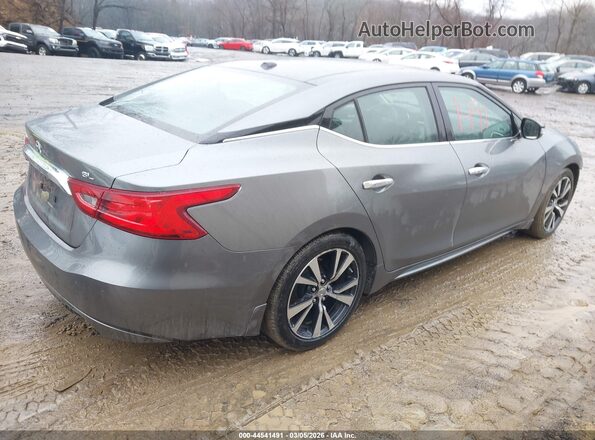 1N4AA6AP9GC404493 2016 NISSAN MAXIMA Серый Задняя правая четверть