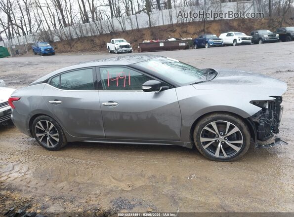 1N4AA6AP9GC404493 2016 NISSAN MAXIMA Серый Вид задней части салона